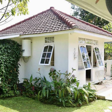 בדוגול Pondok Plantation Luxury Mountain Escape Bedugul מראה חיצוני תמונה
