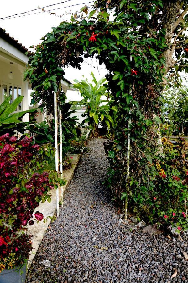 בדוגול Pondok Plantation Luxury Mountain Escape Bedugul מראה חיצוני תמונה