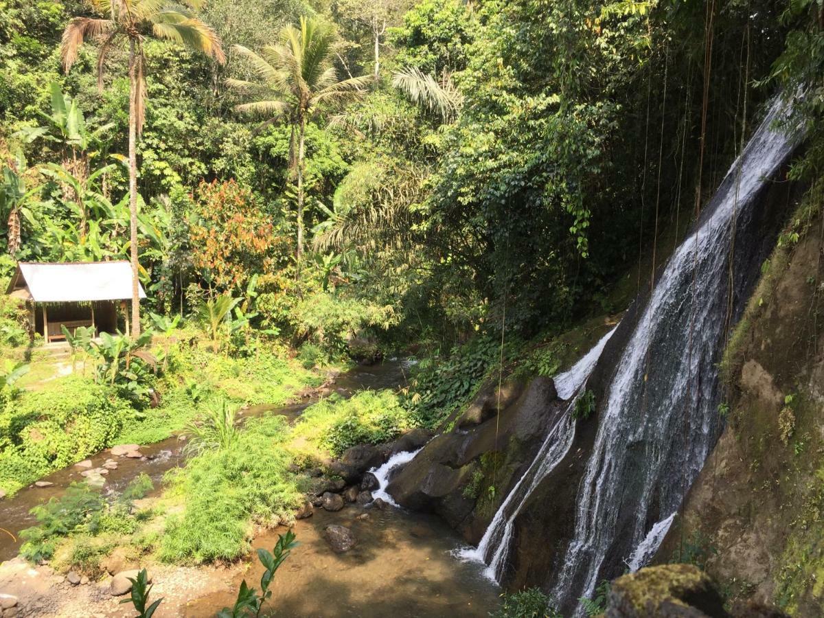 בדוגול Pondok Plantation Luxury Mountain Escape Bedugul מראה חיצוני תמונה