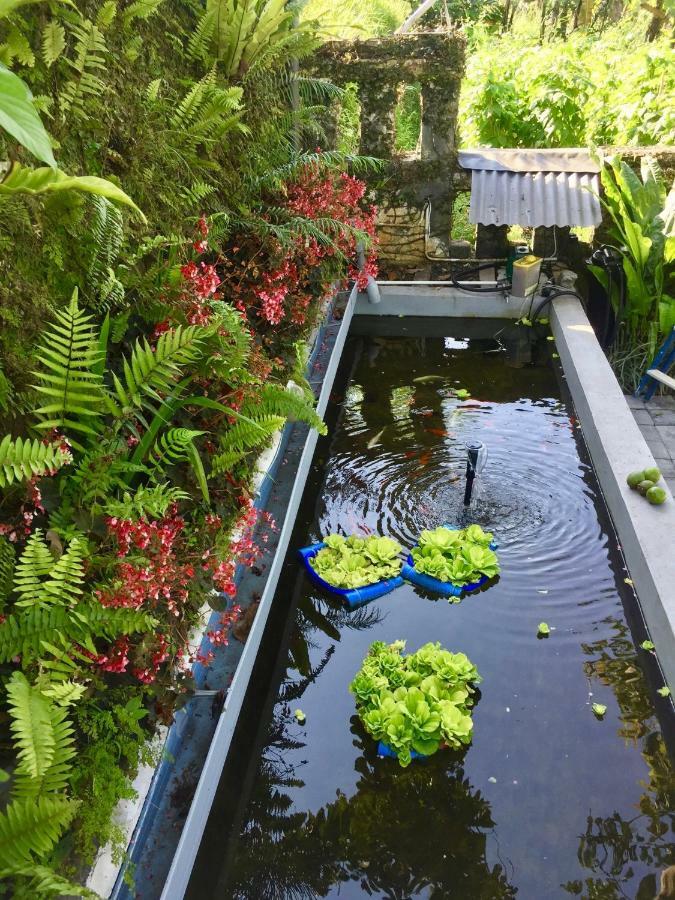 בדוגול Pondok Plantation Luxury Mountain Escape Bedugul מראה חיצוני תמונה