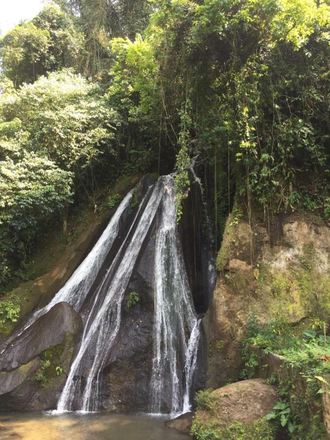 בדוגול Pondok Plantation Luxury Mountain Escape Bedugul מראה חיצוני תמונה