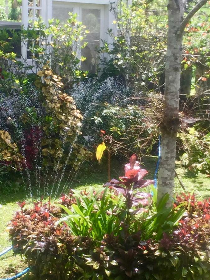 בדוגול Pondok Plantation Luxury Mountain Escape Bedugul מראה חיצוני תמונה