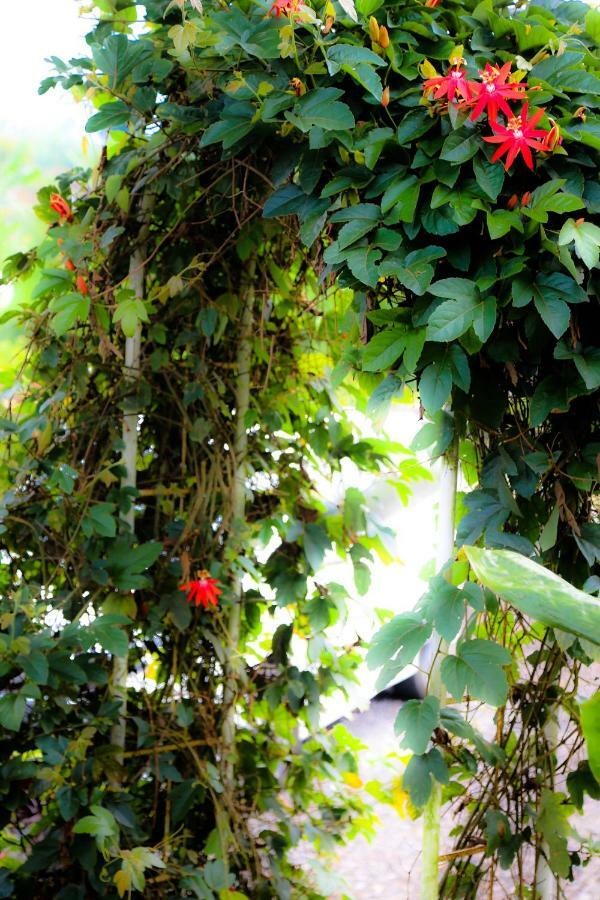 בדוגול Pondok Plantation Luxury Mountain Escape Bedugul מראה חיצוני תמונה