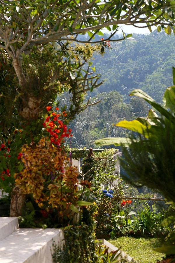 בדוגול Pondok Plantation Luxury Mountain Escape Bedugul מראה חיצוני תמונה