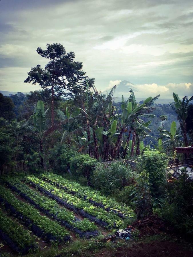 בדוגול Pondok Plantation Luxury Mountain Escape Bedugul מראה חיצוני תמונה